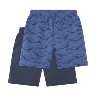 Lot de 2 shorts