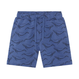 Lot de 2 shorts
