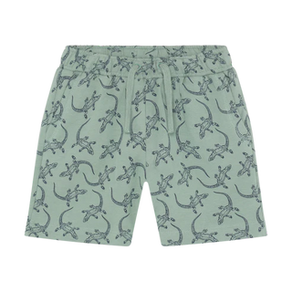 Lot de 2 shorts