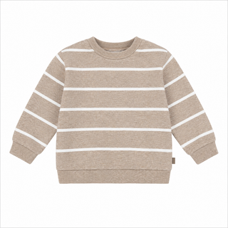 Chandail en molleton dinosaure (6 mois- 4 ans)