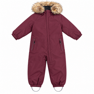 Combinaison d'hiver (9 mois- 2 ans)