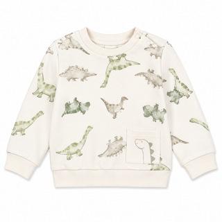 Chandail à col rond dinosaure (6 Mois-4 ans)