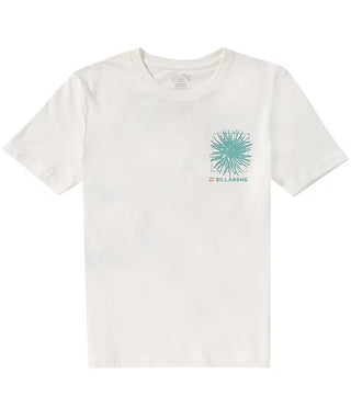 T-shirt Billabong (8-20 Ans)