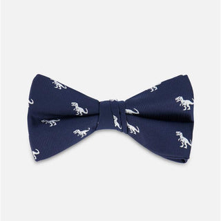 Noeud papillon