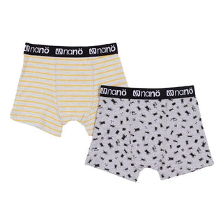 Boxer